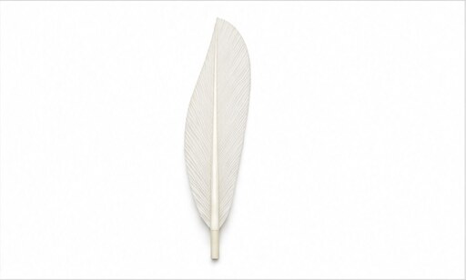 Illustration of a knife-quill shuttlecock feather shape