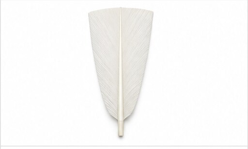 Illustration of a straightened shuttlecock feather