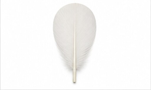 Illustration of a goose feather material example