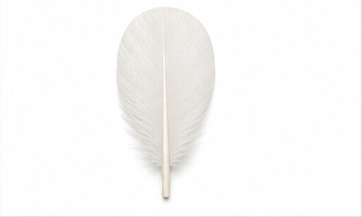 Illustration of a duck feather material example